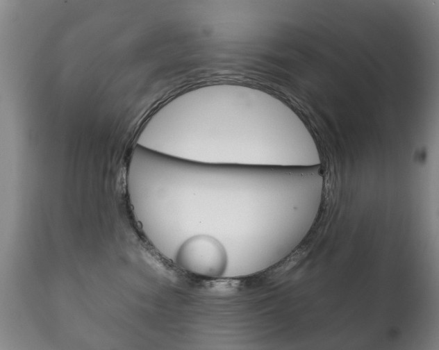 X0000111230474200907021028