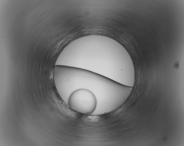 X0000111230478200907021028