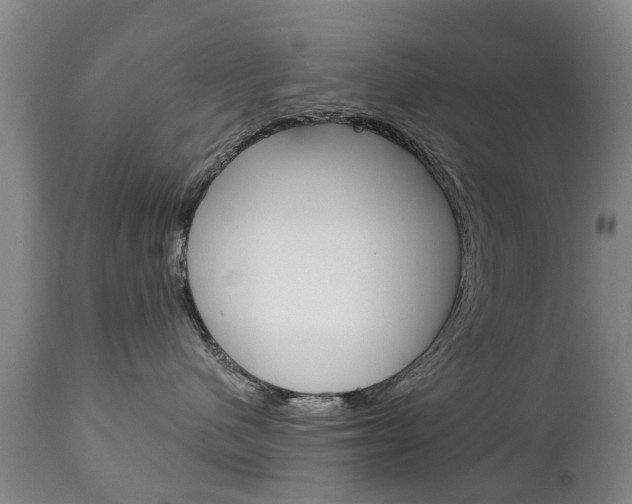 X0000111230480200907021028