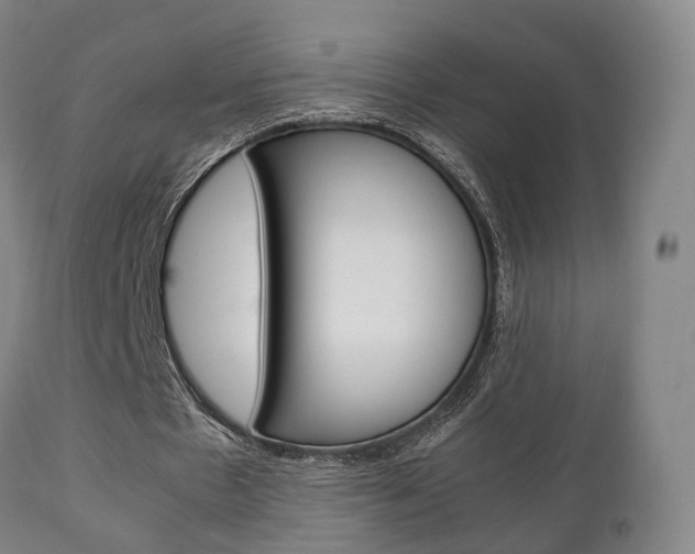 X0000111230481200907021027