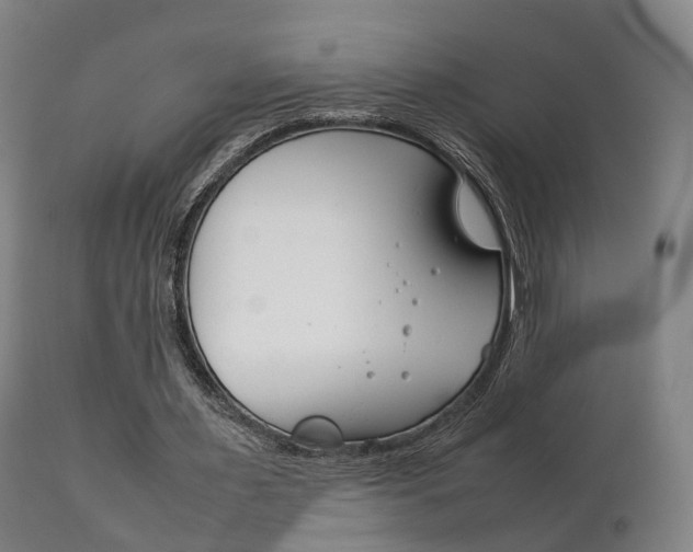 X0000111230483200907021027