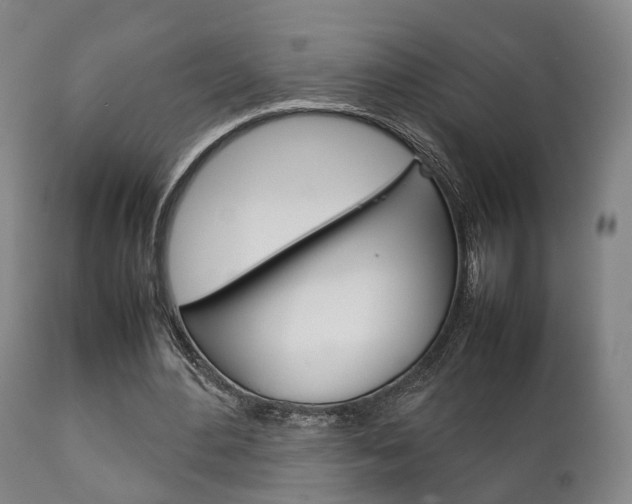 X0000111230484200907021027