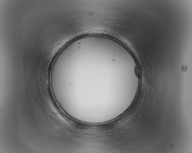 X0000111230485200907021027