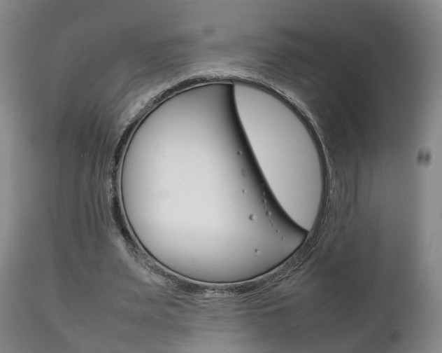 X0000111230487200907021027