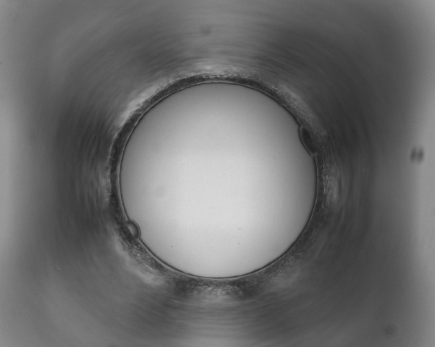 X0000111230488200907021027