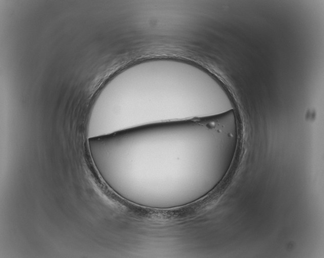 X0000111230489200907021027