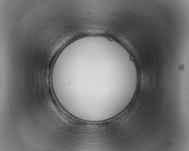 X0000111230490200907021027