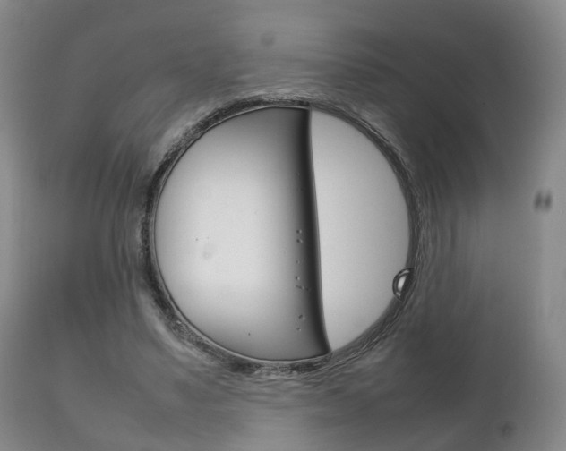X0000111230491200907021027