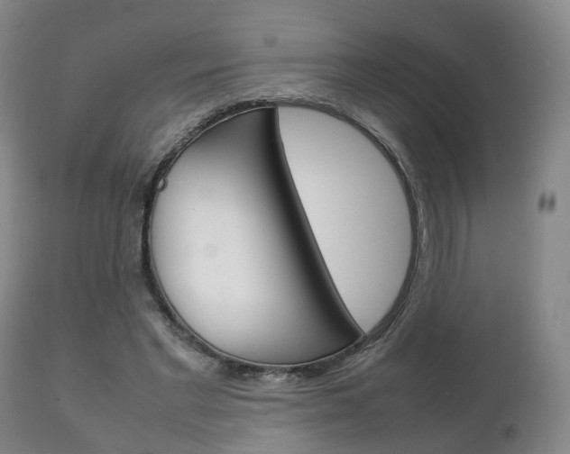 X0000111230493200907021027