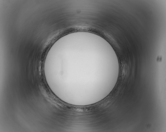 X0000111230494200907021027