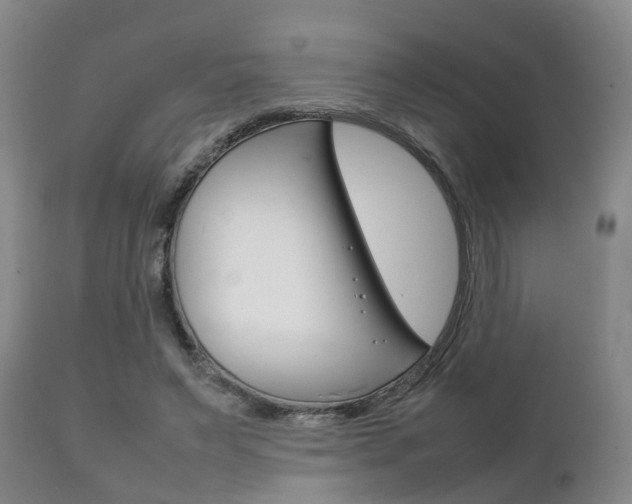 X0000111230495200907021027