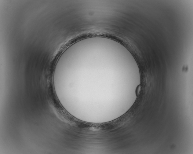 X0000111230496200907021027
