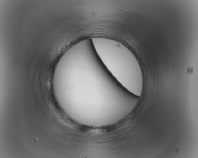 X0000111230499200907021027