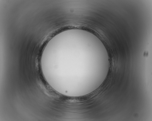 X0000111230500200907021027