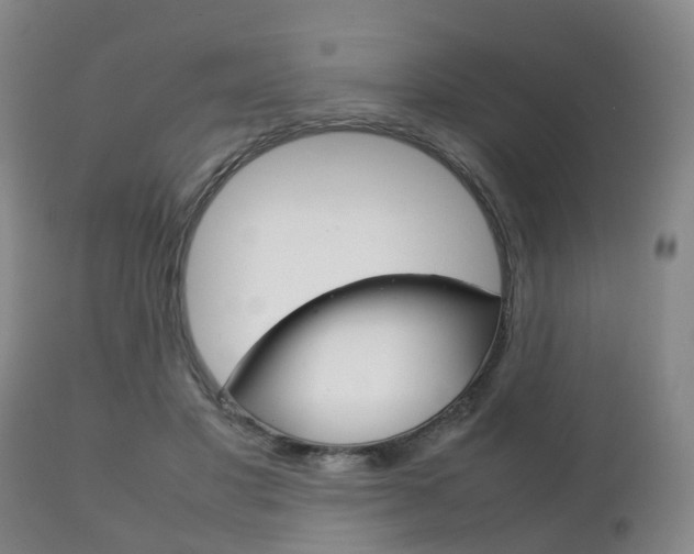 X0000111230501200907021027