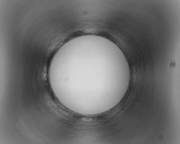 X0000111230502200907021027
