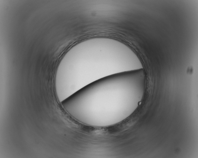 X0000111230505200907021027