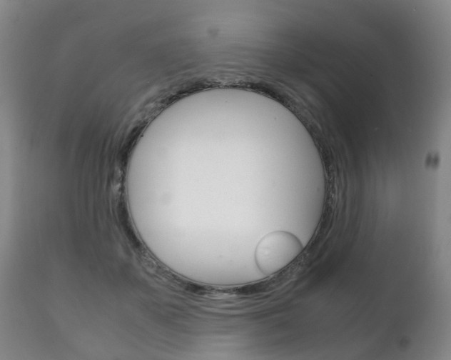 X0000111230507200907021027