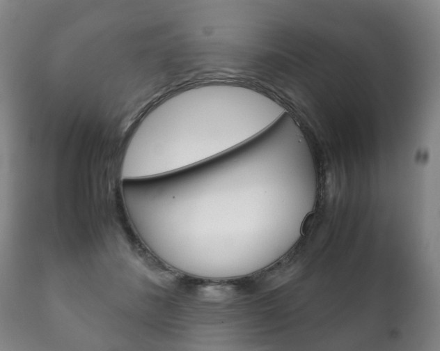 X0000111230508200907021027