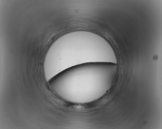 X0000111230509200907021027