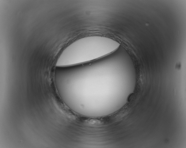 X0000111230512200907021027