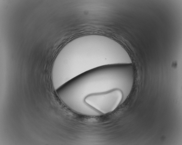X0000111230513200907021027