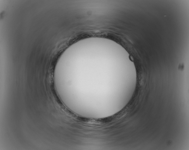 X0000111230515200907021027