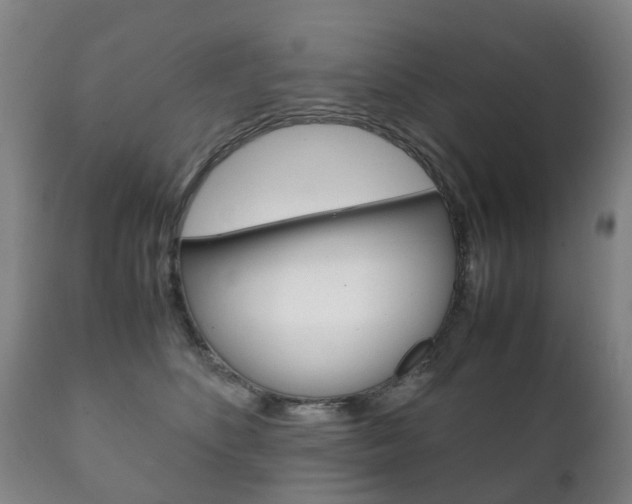 X0000111230516200907021027