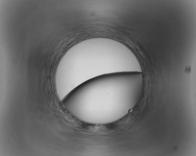 X0000111230517200907021027