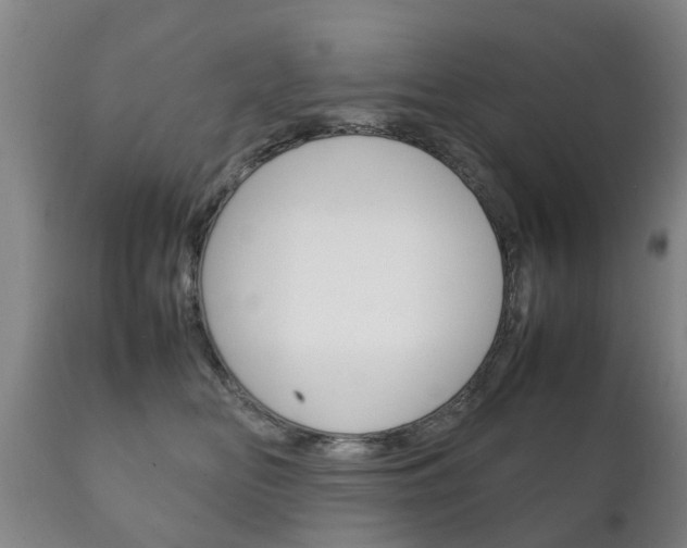 X0000111230518200907021027