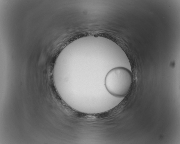 X0000111230519200907021027