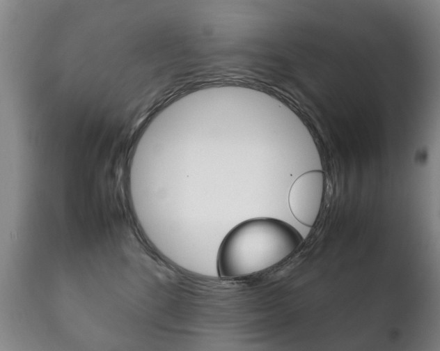 X0000111230520200907021027