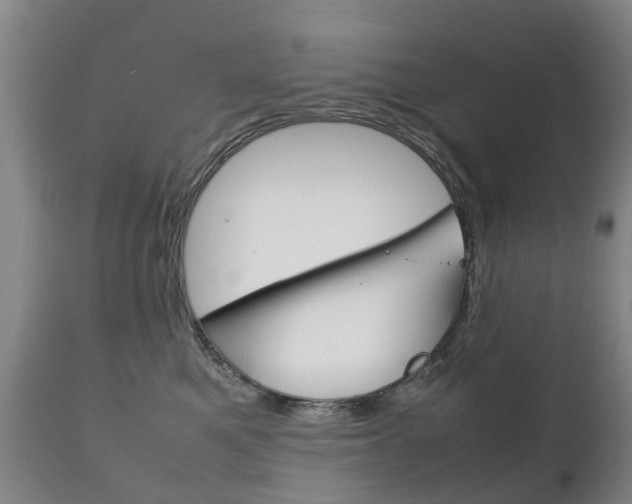 X0000111230521200907021027