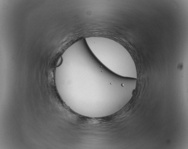 X0000111230523200907021026