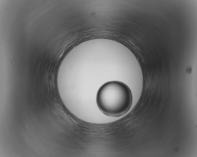 X0000111230524200907021026