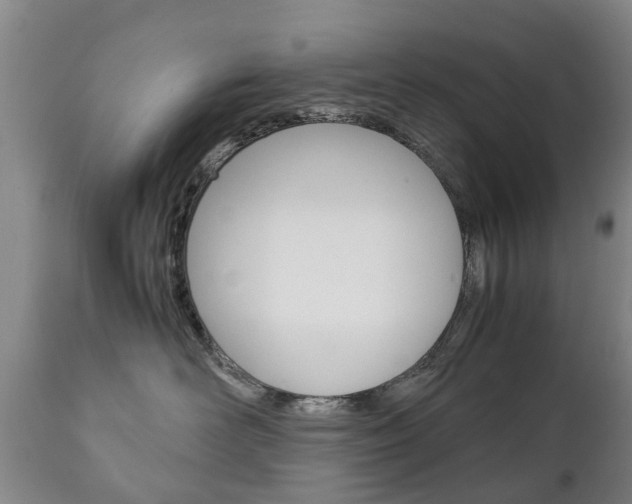 X0000111230526200907021026
