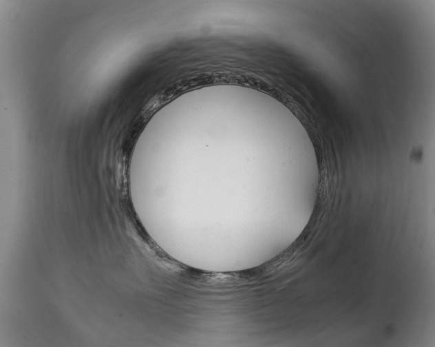 X0000111230527200907021026