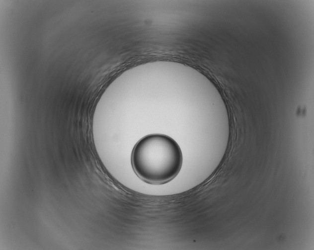 X0000111230528200907021026