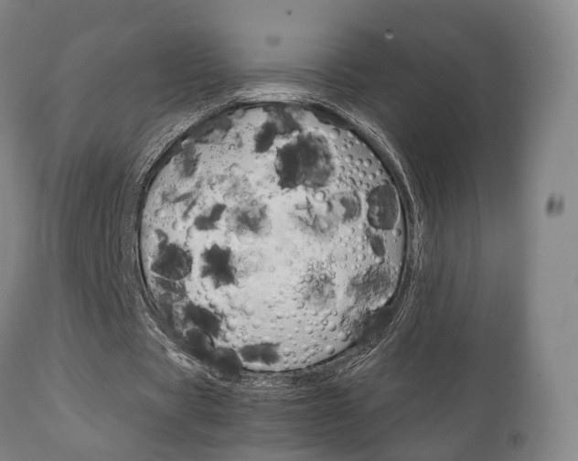 X0000111230529200907021026