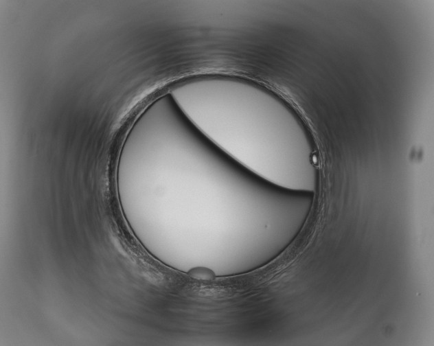 X0000111230531200907021026