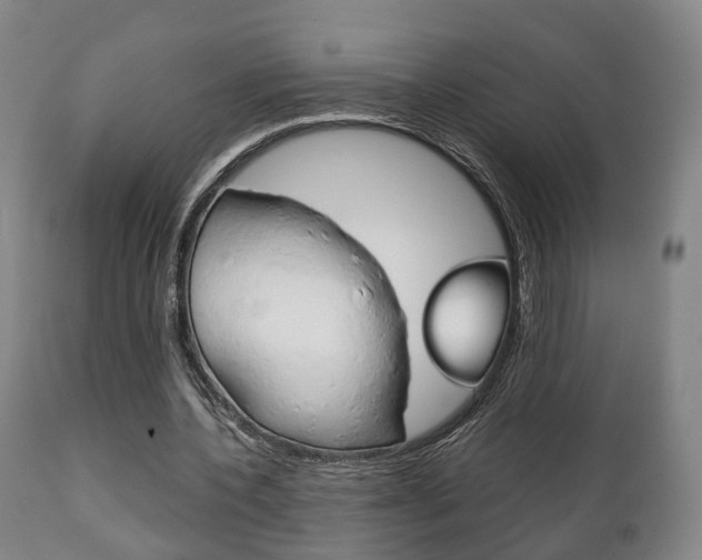 X0000111230532200907021026