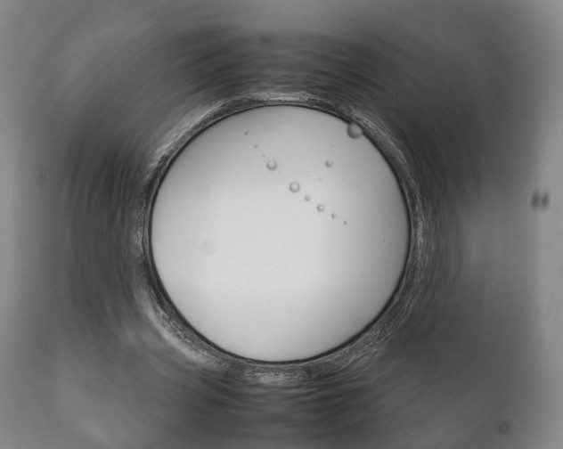 X0000111230533200907021026