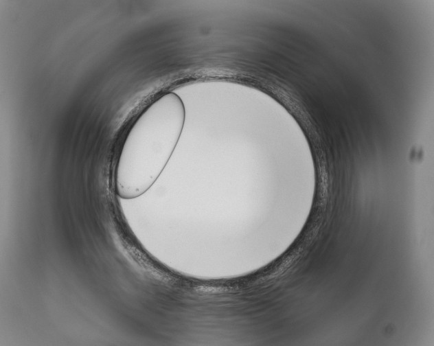X0000111230534200907021026