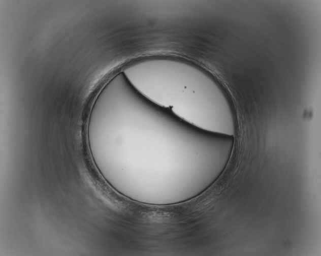 X0000111230535200907021026