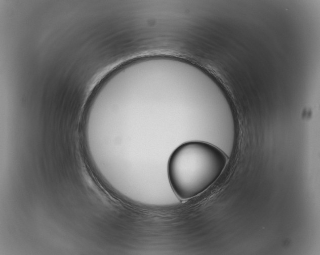 X0000111230536200907021026