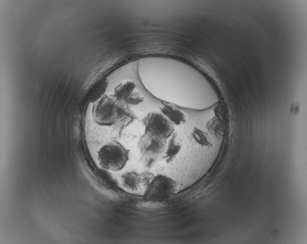 X0000111230537200907021026