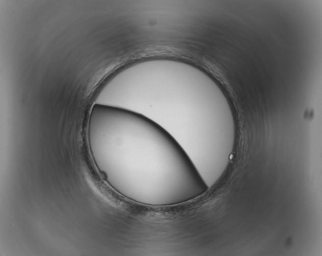X0000111230538200907021026