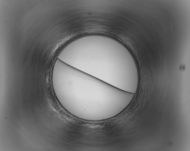 X0000111230539200907021026