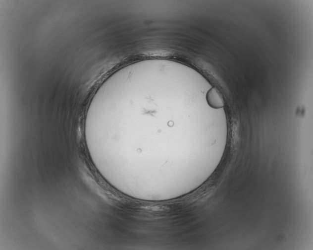 X0000111230541200907021026