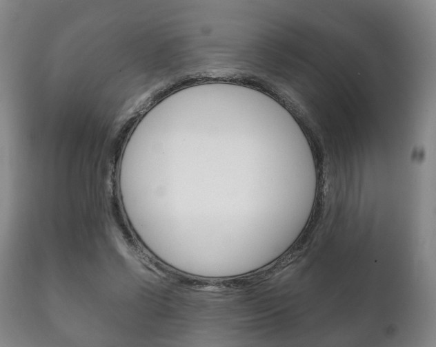X0000111230542200907021026